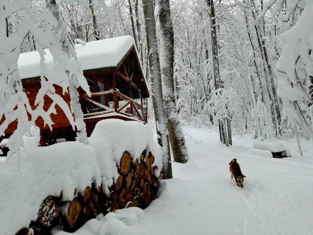 Les Cabines Nordik 2.0 Shawinigan Kültér fotó