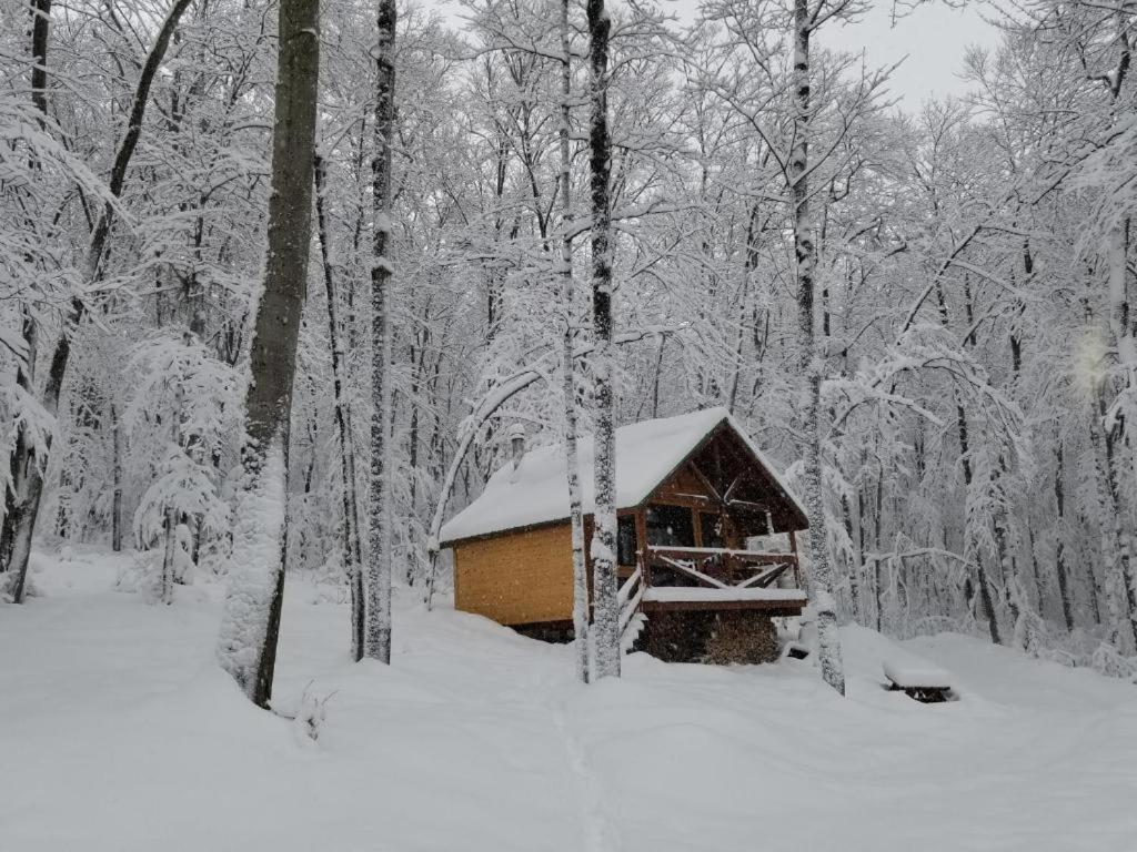 Les Cabines Nordik 2.0 Shawinigan Kültér fotó