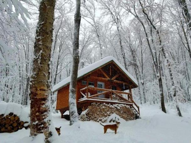 Les Cabines Nordik 2.0 Shawinigan Kültér fotó